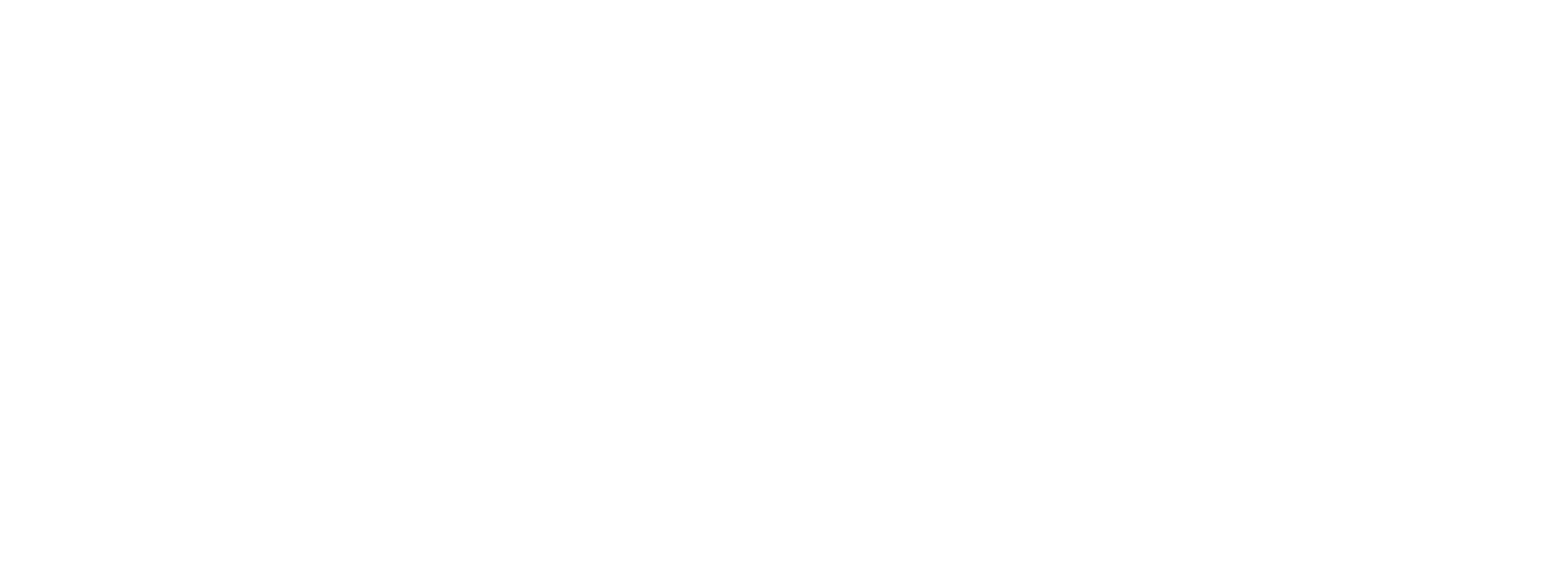 Nocs Provisions logo